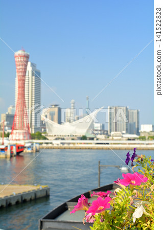 神戶美利堅公園週邊的景色 141522828