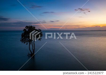 石垣島的性質 石垣島的性質 141522977
