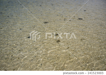 石垣島的性質 石垣島的性質 141523003