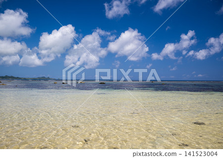 石垣島的性質 石垣島的性質 141523004