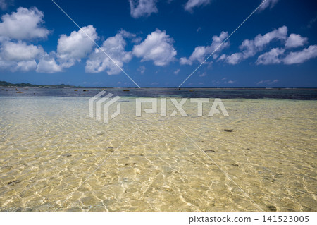 Nature of Ishigaki Island Nature of Ishigaki Island 141523005