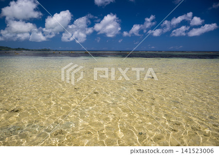 Nature of Ishigaki Island Nature of Ishigaki Island 141523006