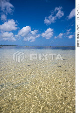 石垣島的性質 石垣島的性質 141523009