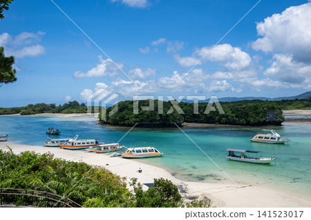 Nature of Ishigaki Island Nature of Ishigaki Island 141523017
