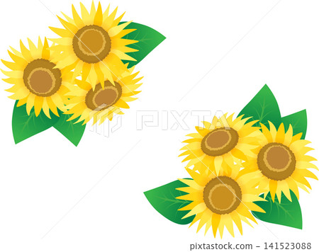 Sun flower bouquet Sun flower bouquet 141523088