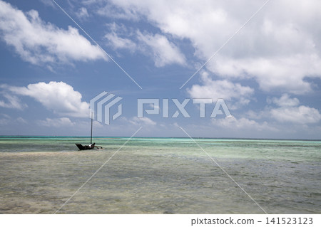 Nature of Ishigaki Island Nature of Ishigaki Island 141523123