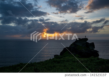 Nature of Ishigaki Island 141523137
