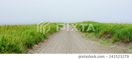 夏季,北海道別海町的橋音灘沙洲上,有一條道路連接著芙蓮湖和根室灣。 夏季,北海道別海町的橋音灘沙洲上,有一條道路連接著芙蓮湖和根室灣。 141523279