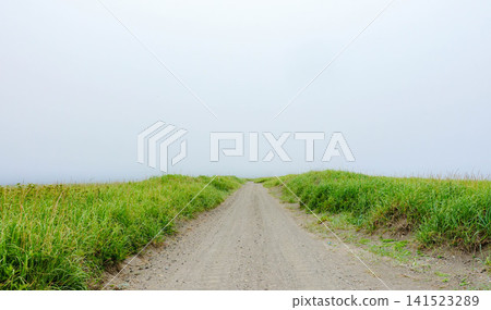 A road running along the Hashikotan sandbar that separates Lake Furen and Nemuro Bay in Betsukai Town, Hokkaido, during the summer. A road running along the Hashikotan sandbar that separates Lake Furen and Nemuro Bay in Betsukai Town, Hokkaido, during the summer. 141523289