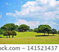 The lush green lawns and trees of a summer park, with a blue sky and towering cumulonimbus clouds. 141523437