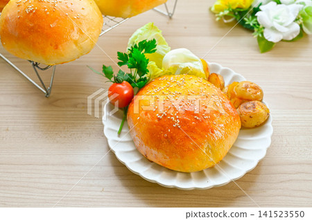 Closed burger with fries and vegetables Closed burger with fries and vegetables 141523550