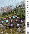 Mano Park Cherry Blossom Festival 141523843