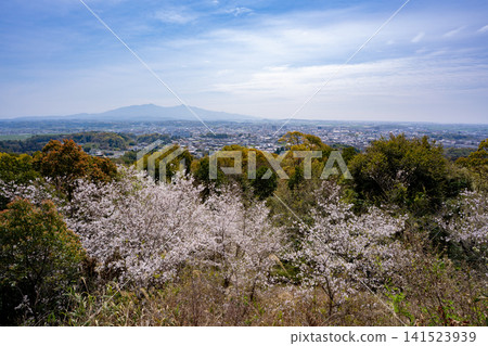 從賈加塔尼公園觀景台眺望塔瑪納市 從賈加塔尼公園觀景台眺望塔瑪納市 141523939