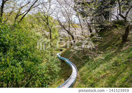 蛇谷公園的櫻花景色(玉名市) 蛇谷公園的櫻花景色(玉名市) 141523959