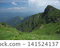 Sheer rock peaks and deep green mountain slopes 141524137
