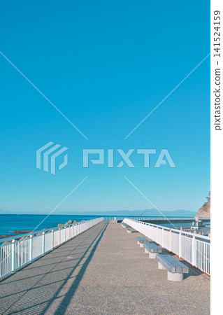江之島海堤 141524159