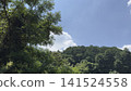 The sky seen from the forest 141524558