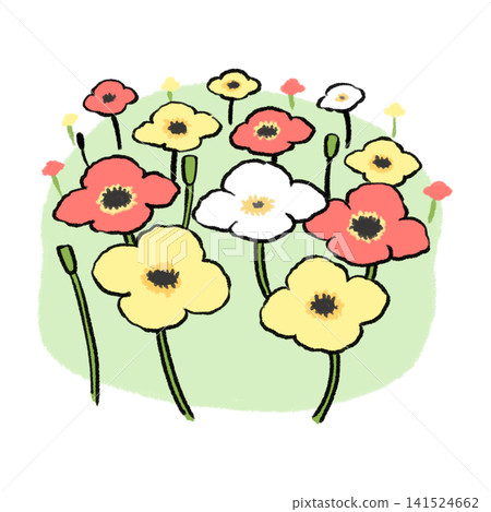Poppy flower field Poppy flower field 141524662
