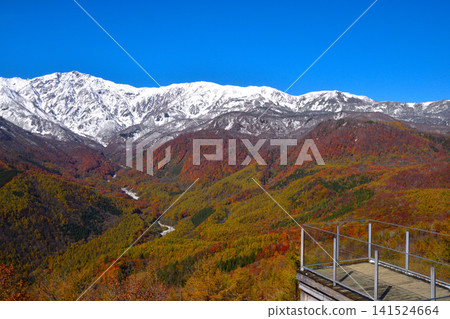 Autumn: Hakuba Iwatake Mountain Resort to the Hakuba mountain range 141524664