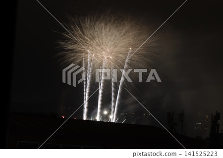 Fireworks exhibition in a summer night Fireworks exhibition in a summer night 141525223