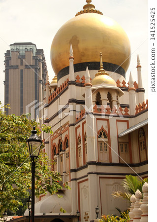 Architecture in the downtown of Singapore Architecture in the downtown of Singapore 141525425