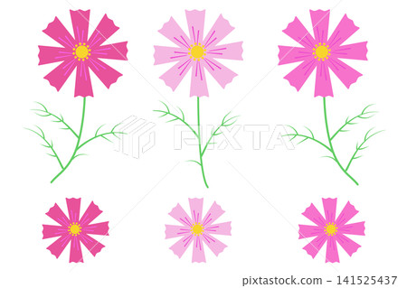 波斯菊插畫集 波斯菊插畫集 141525437