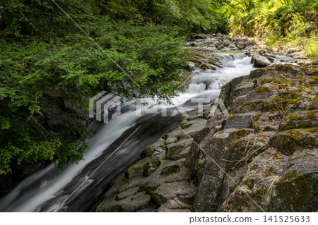 A clear waterfall flowing in summer A clear waterfall flowing in summer 141525633