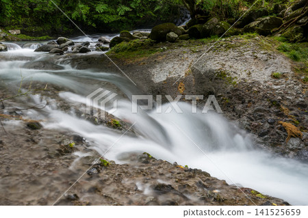 A clear waterfall flowing in summer A clear waterfall flowing in summer 141525659