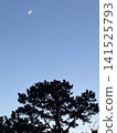 On the way home on a moonlit night 141525793