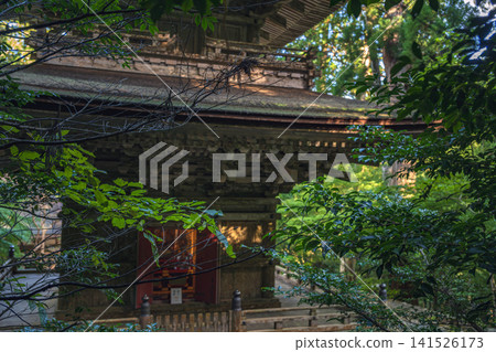 Fukui, Myotsuji Temple, a three-story pagoda in the forest Fukui, Myotsuji Temple, a three-story pagoda in the forest 141526173