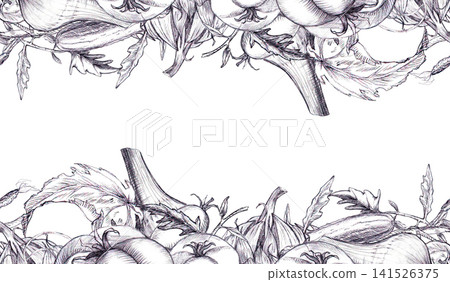 Seamless double border featuring tomatoes, garlic, onion, cucumber graphite pencil sketch. A versatile web graphic element ideal for website headers, footers, farm-to-table menus, organic packaging 141526375