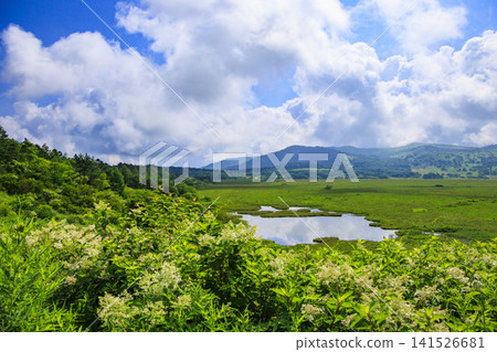 Kirigamine Hachiagahara Marsh Kirigamine Hachiagahara Marsh 141526681