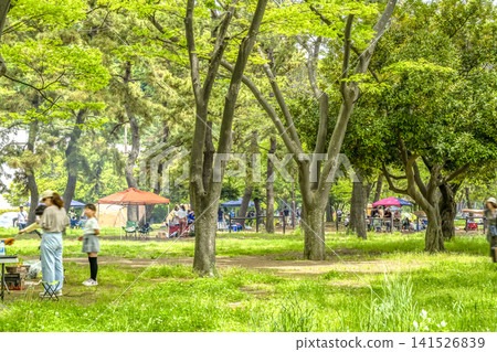 A barbecue scene in the lush green Nojima Park. A barbecue scene in the lush green Nojima Park. 141526839