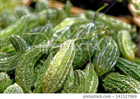 Fresh Green Bitter Melons with Textured Bumpy Skin 141527069