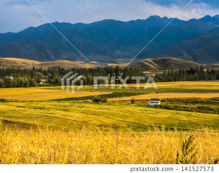 Idyllic Rural Landscape with Golden Fields and Distant Mountains Idyllic Rural Landscape with Golden Fields and Distant Mountains 141527573
