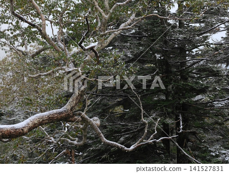 Hachimantai of autumn leaves Hachimantai of autumn leaves 141527831