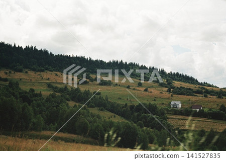 Rolling hillside landscape with dense evergreen forest, grassy meadows, scattered shrubs, distant farmhouse, and muted overcast sky creating quiet rural countryside mood Rolling hillside landscape with dense evergreen forest, grassy meadows, scattered shrubs, distant farmhouse, and muted overcast sky creating quiet rural countryside mood 141527835