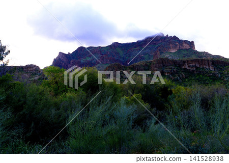 Sonoran Desert Arizona Sonoran Desert Arizona 141528938