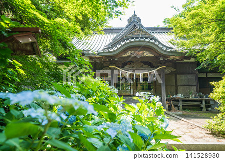 初夏時節的青森郡八戶市三八丈神社景色 初夏時節的青森郡八戶市三八丈神社景色 141528980