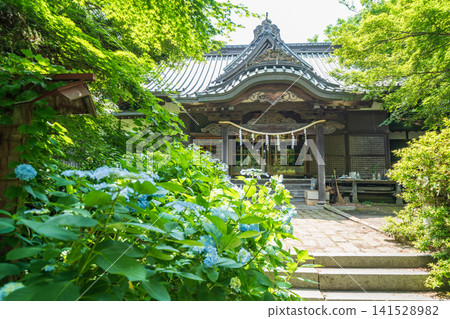 初夏時節的青森郡八戶市三八丈神社景色 初夏時節的青森郡八戶市三八丈神社景色 141528982