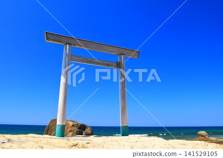 愛知縣南道下町津手浦海中的鳥居 141529105