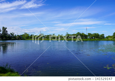 北村中央公園的某個地方 北村中央公園的某個地方 141529147