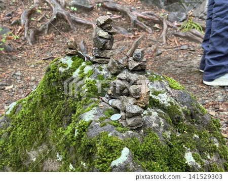生苔岩石和打樁石 生苔岩石和打樁石 141529303