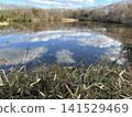 A pond that reflects the vast sky. 141529469