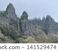 Misted mountain 141529474