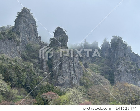 迷霧山 141529474