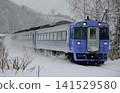 特快列車鄂霍次克號沿著白雪皚皚的關北本線運行。 141529580
