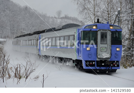 The Limited Express Okhotsk runs along the snow-covered Sekihoku Main Line. The Limited Express Okhotsk runs along the snow-covered Sekihoku Main Line. 141529580