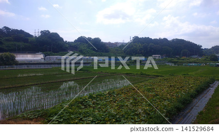 橫濱市戶塚區舞岡車站週邊景色 橫濱市戶塚區舞岡車站週邊景色 141529684