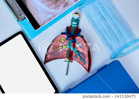 Lungs model with colorful details is placed on a doctor's table along with medical tools and a face mask at the pulmonology department. Medical education 141530475